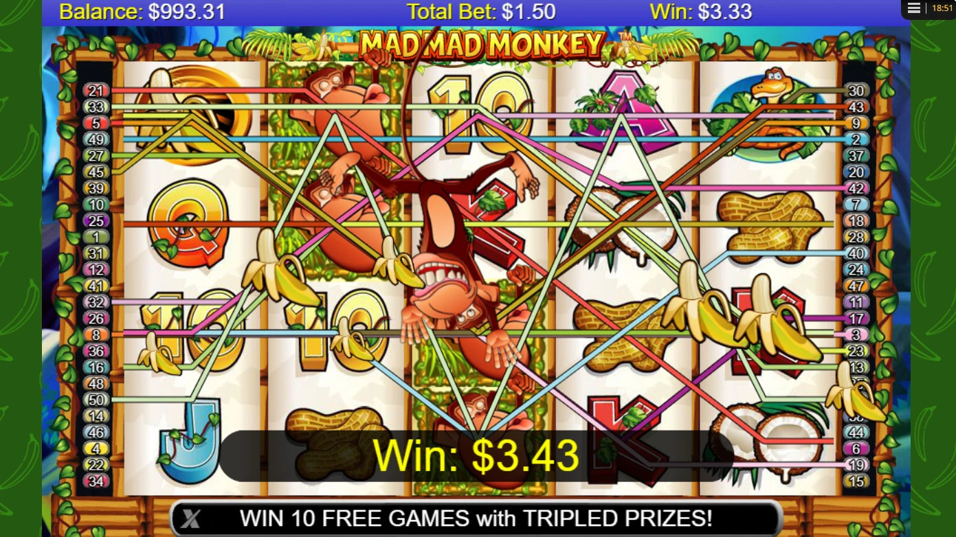 Žaidimo funkcijos Mad-Mad-Monkey-žaidimo-funkcijos