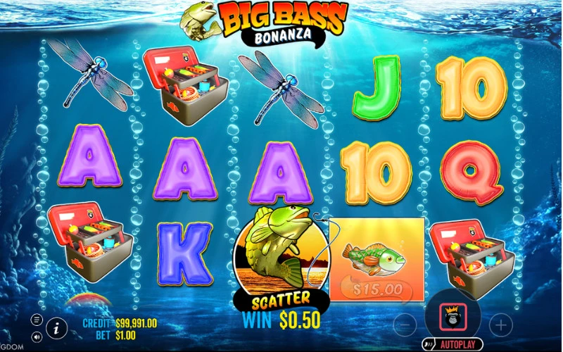 Specialūs simboliai big-bass-bonanza-specialūs-simboliai