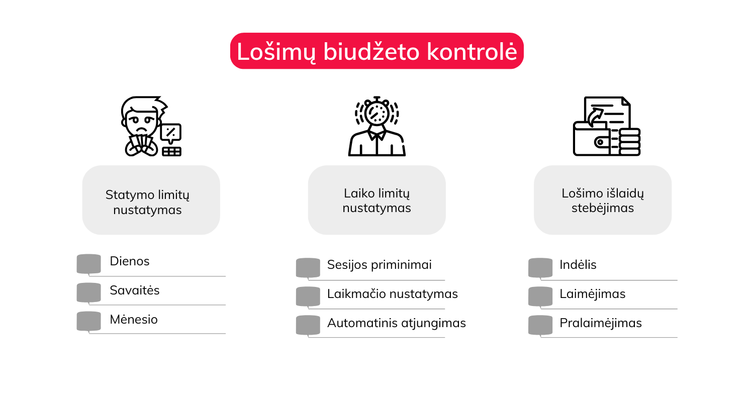 lo&scaron;imų-biudžeto-kontrolė