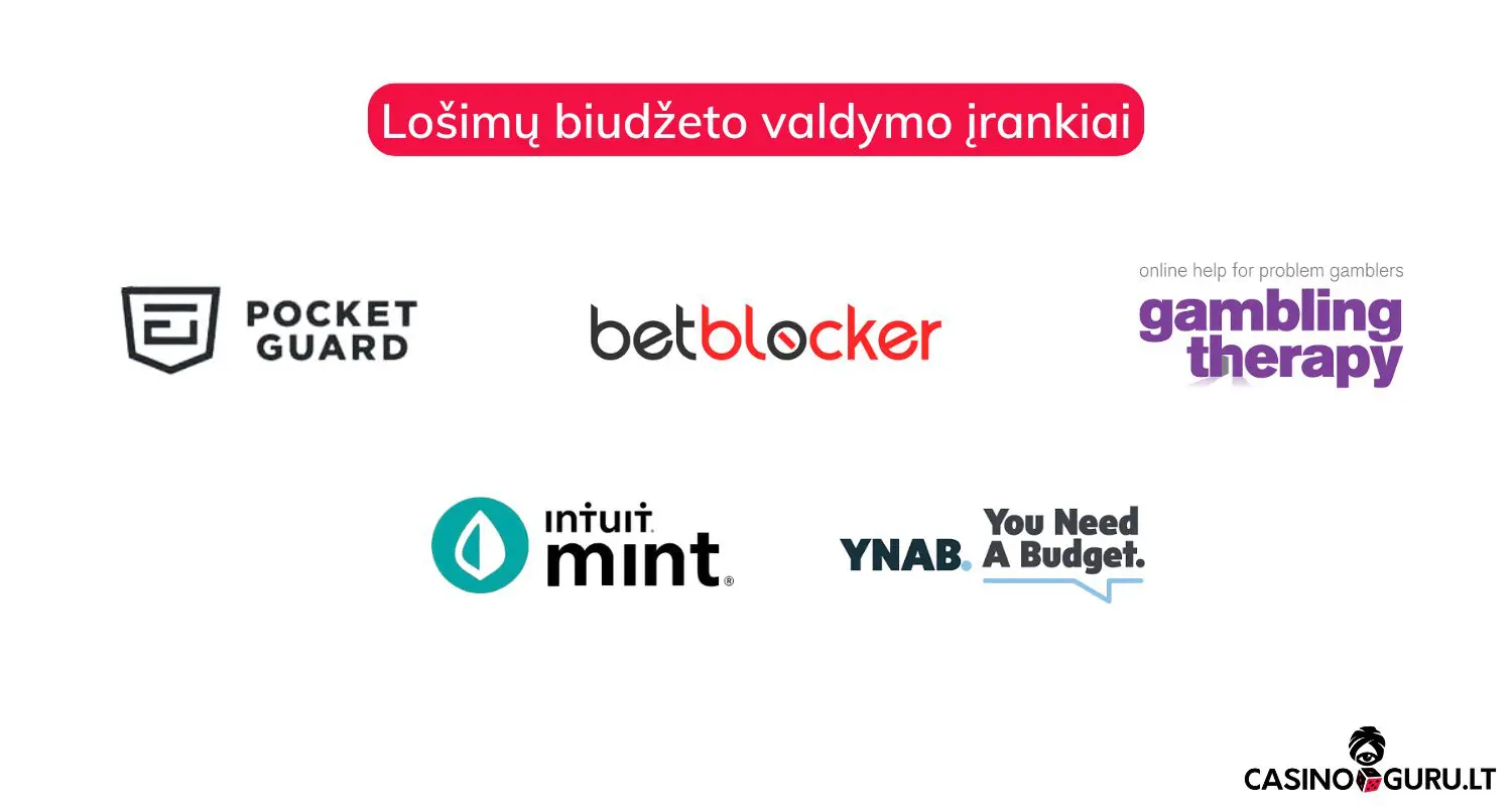 lo&scaron;imų-biudžeto-valdymo-įrankiai