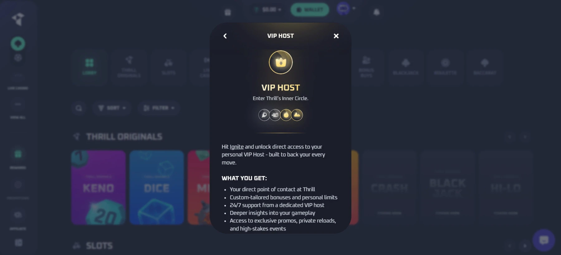 Asmeninis VIP konsultantas Thrill-vip-konsultantas