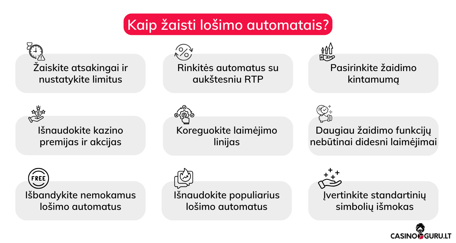 kaip-zaisti-losimo-automatais