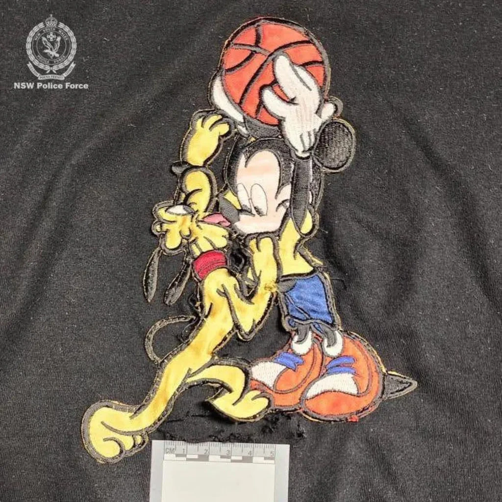 paslepta-kamera-mickey-mouse-logotipe