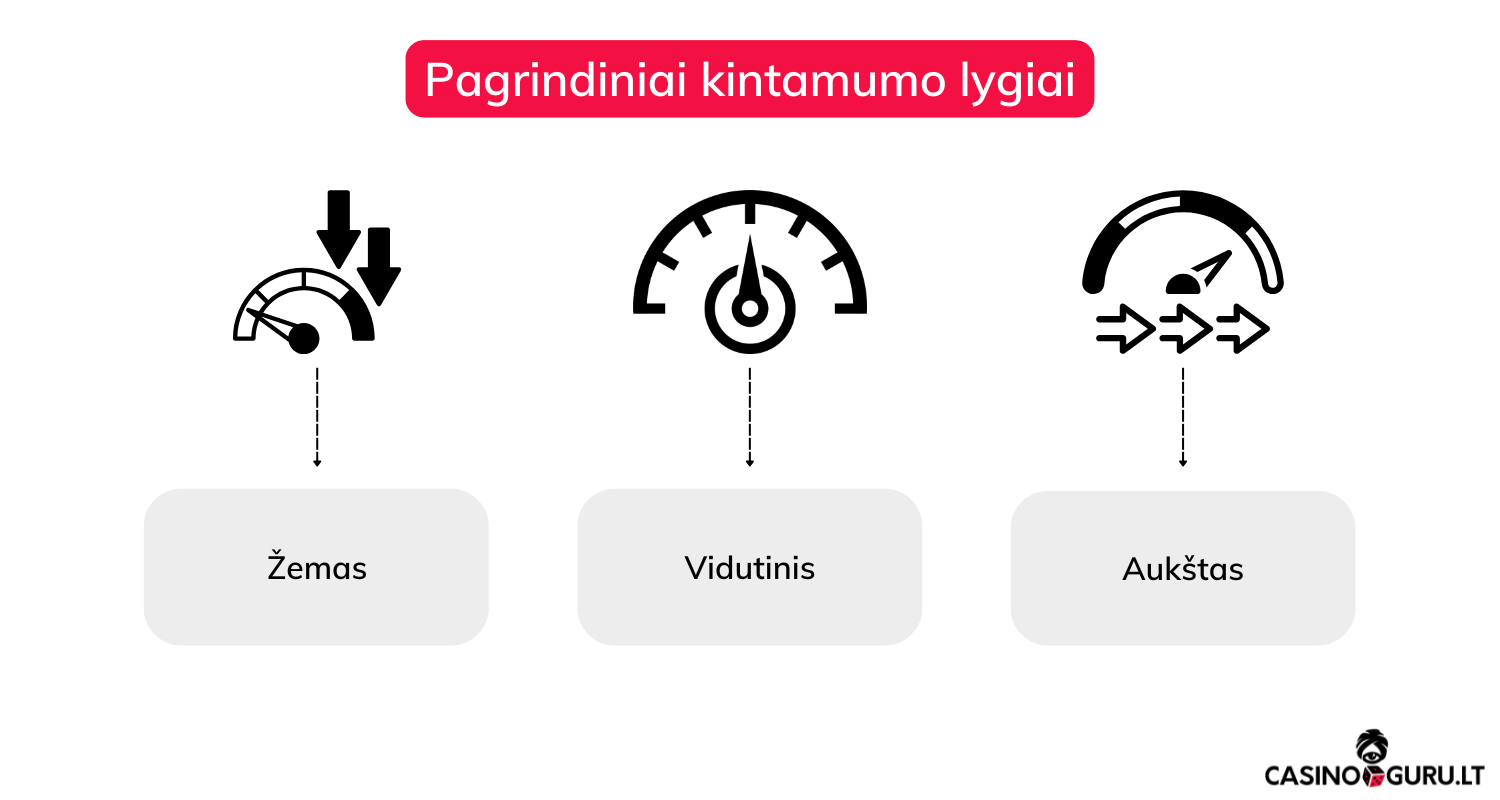 Žaidimo kintamumas žaidimo-kintamumas